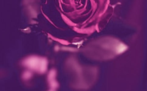 小小飄窗 浪漫色彩大變身! -資料