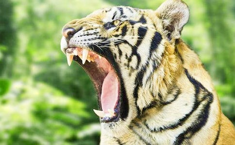 ��С�ϻ��v�Uӛ���x���15ƪ