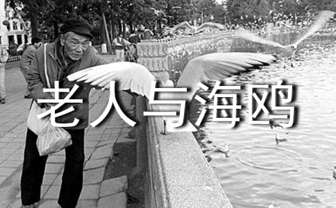《老人與海鷗》讀后感