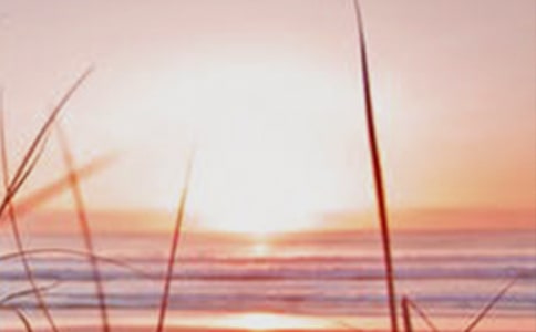 ��(l��)־�ɹ����ԣ��挦(du��)�������Ҳ���ãȻ