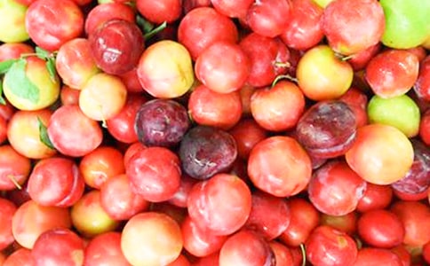 �P�����ӵă�(y��u)������