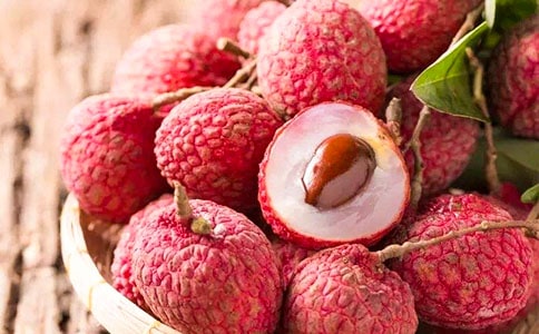 (精華)關于荔枝的作文15篇