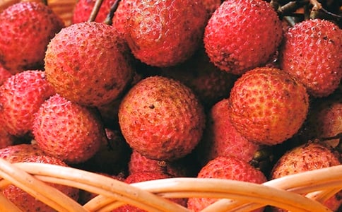 �P(gu��n)����֦������