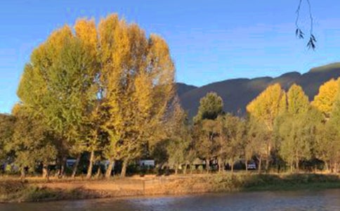 麗江導(dǎo)游詞12篇