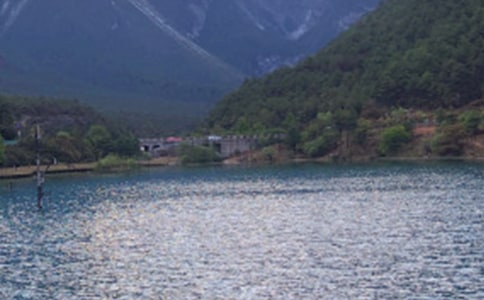 麗江作文500字(實用)