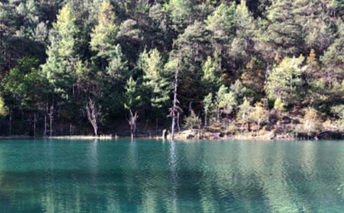 麗江古城導(dǎo)游詞15篇