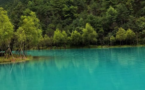 關(guān)于麗江作文