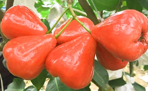 ɏ�F���꼉����