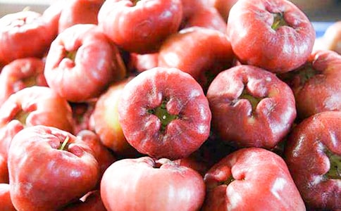 臺灣蓮霧在防城區(qū)種植的氣象條件分析