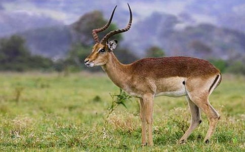 ����ľ��̰��O(sh��)Ӌ