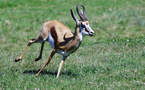 ����������x��