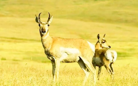 ��������Ĺ�ݡ��x���