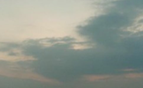 �賿�����c(di��n)����������