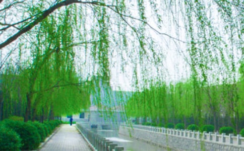 �P����������ĳ���(15ƪ)