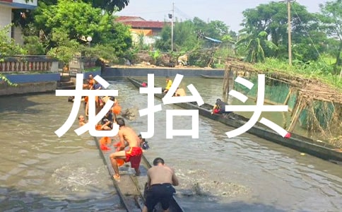 二月二龍?zhí)ь^寄語(yǔ)(3篇)