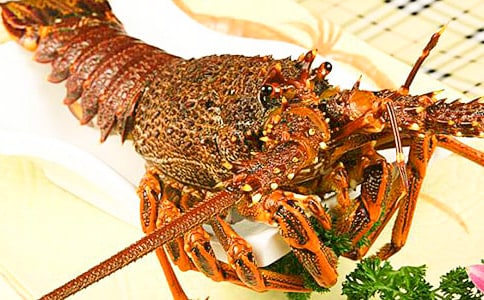 ����(y��u)���P(gu��n)�����r������