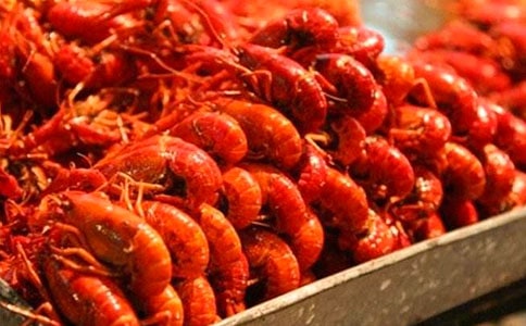 關于龍蝦作文集錦15篇