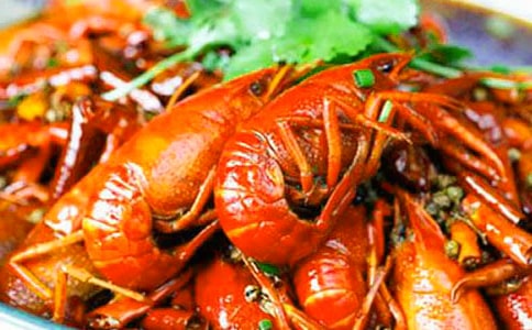 釣龍蝦作文600字