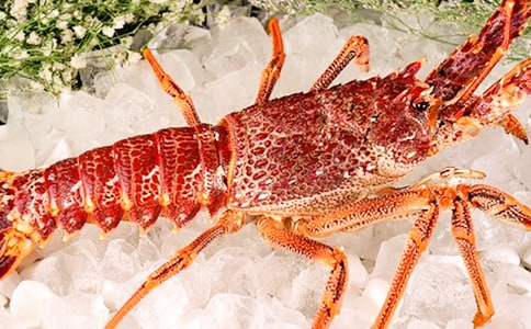 �P(gu��n)��С���r����500��40ƪ