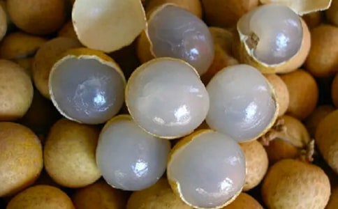 關(guān)于摘龍眼的600作文(通用16篇)