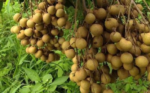 �Ґۼ��l(xi��ng)����������