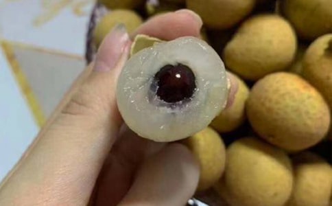 實用的龍眼樹作文3篇