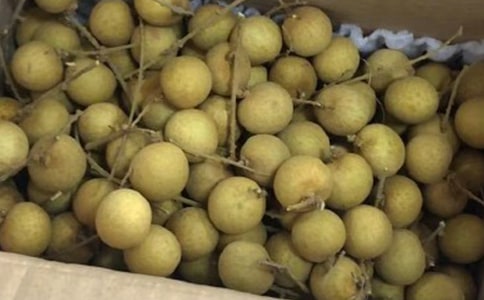 �茑���۵�����300������