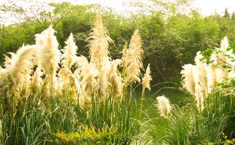 �JȔ?sh��)����?00��