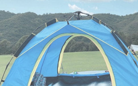 �P(gu��n)��¶�I(y��ng)����