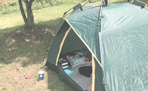 精選暑假露營作文4篇