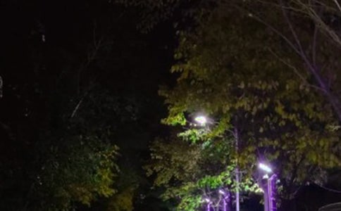 ��ͨ�ã��P��·��������15ƪ