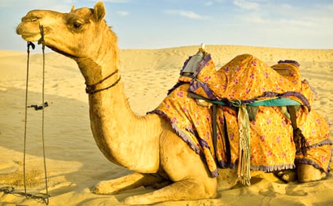 ɳĮ�еĄ����