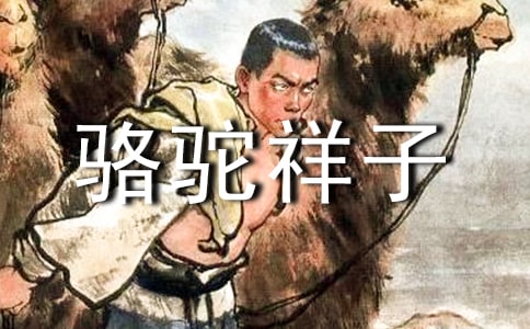 【熱】駱駝祥子讀書心得