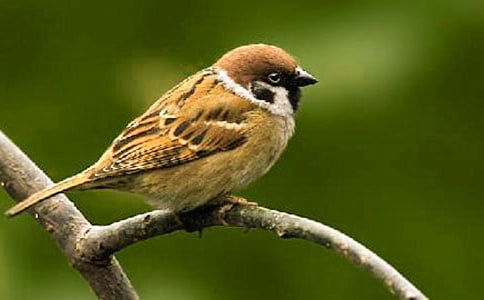 ����ȸ���x��У����x27ƪ��