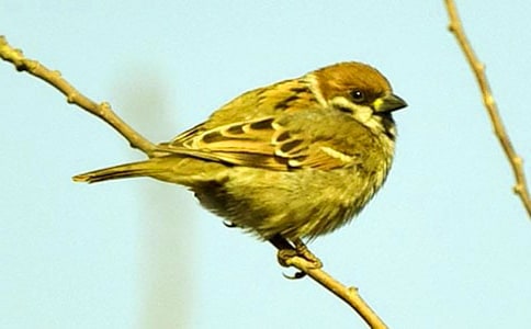 ��(xi��)��ȸ������