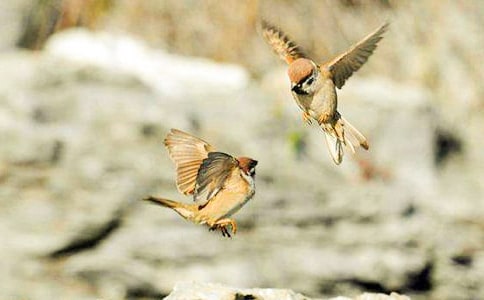 ��ȸ����