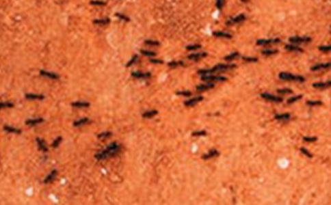 Λρ����������3ƪ