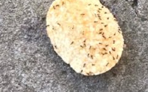 �P(gu��n)��Λρ��(sh��)�(y��n)�ă�(y��u)������