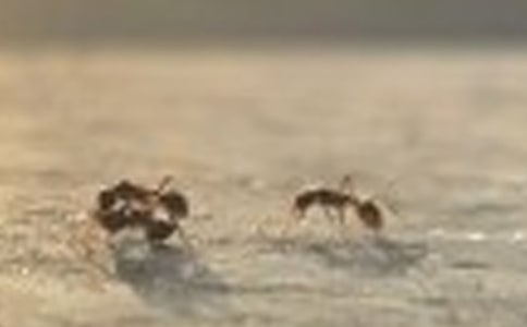 Λρ����������