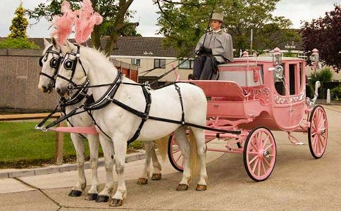 ��ʮ����(c��)�ڶ���Ԫ�]�f�R܇(ch��)�������Ҹ衷�̰���˼