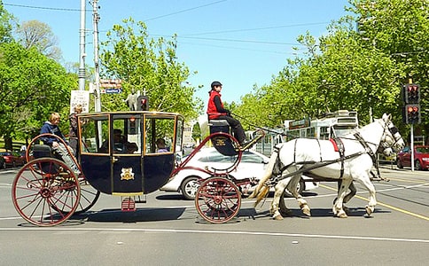 漂亮的馬車(chē)作文550字
