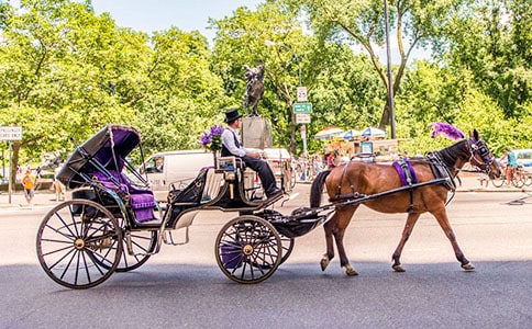 ���r�g��С�R܇���̌W��˼3ƪ