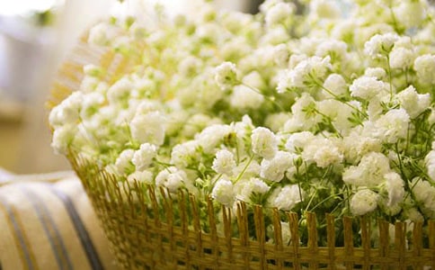 �M����֮������