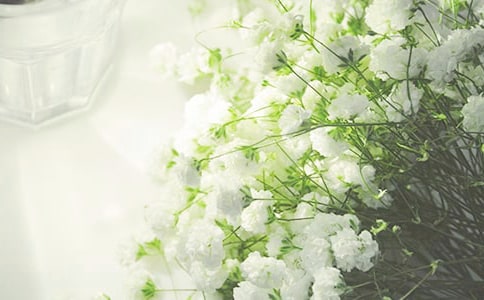 �茑�M���ǵľ���3ƪ