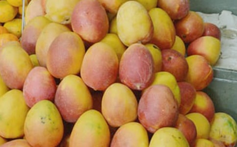 芒果的作文(通用53篇)