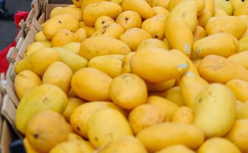 �P���Ґ�â�����ļ��\��ƪ