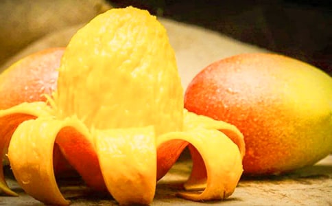 芒果樹(shù)作文實(shí)用(15篇)