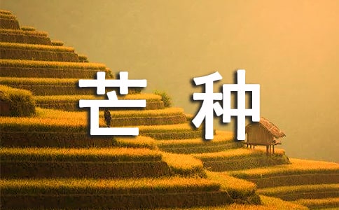 芒種寄語