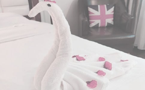 ��ë������