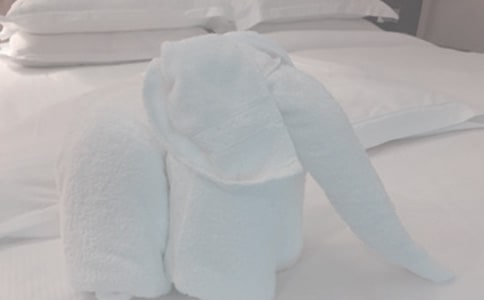 ĸ�۵�ë������